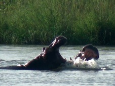 Lusaka Lower Zambezi 1